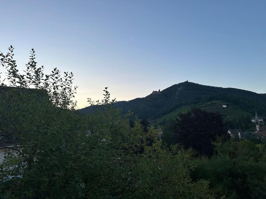 Vue Magnifique Sur Les Chateaux Ribeauvillé Exterior photo